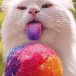 cat-eating-snow-cone