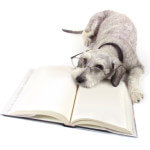 Dog and book