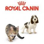 Royal-canin-12