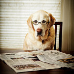 dog-reading-the-newspaper-and-wearing-glasses-tony-garcia