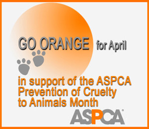 Animal Cruelty Prevention Month |