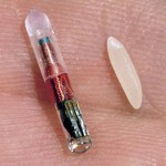 pet-microchip-3