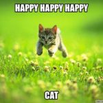 Happy-Cat-2